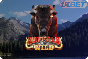 Buffalo Goes Wild