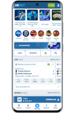 Homepage Interface