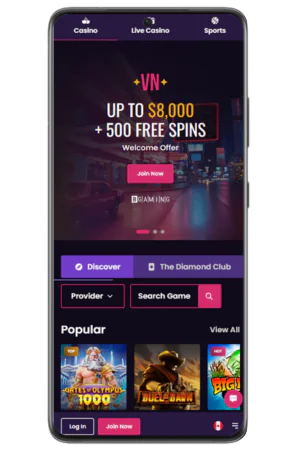 Homepage Interface