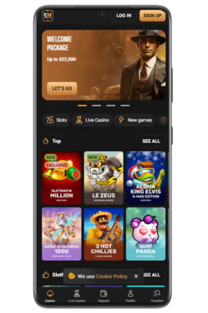 Homepage Interface