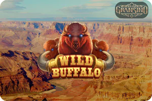 Big Wild Buffalo Musical Laboratory