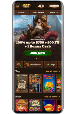 Homepage Interface