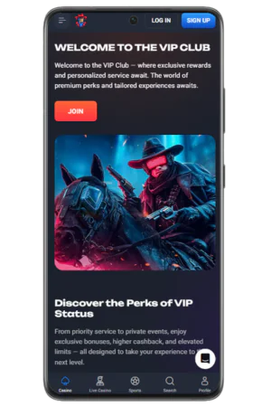 VIP Section