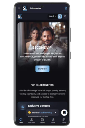 VIP Section