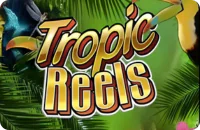 Tropical Reels