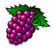 Grapes in Fruit Salad