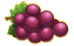 Grapes symbol Fire Joker
