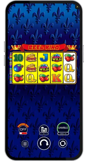 Highlighted reel showing winning outcome on main screen