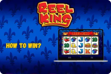reel king slot demo