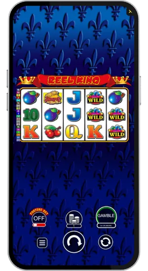 Main game screen showing reels and gamble button interface