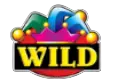 Wild symbol Reel King